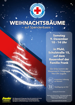 Weihnachtsbäume auf Spendenbasis