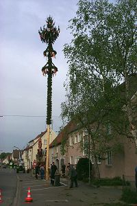 der Maibaum steht!