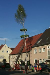 der Maibaum, fast fertig