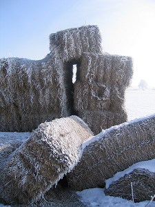 verzuckerte Heuballen