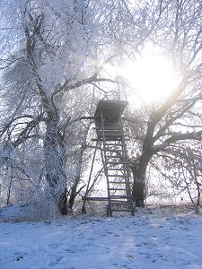 Hochstand in der Morgensonne