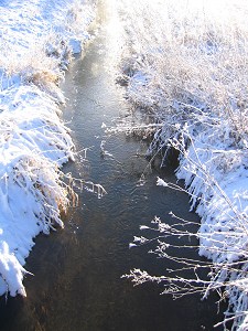 Wasserlauf im Pfuhler Ried