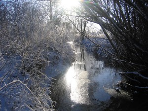 die Morgensonne spiegelt sich im Wasserlauf