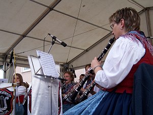 der Musikverein Steinheim