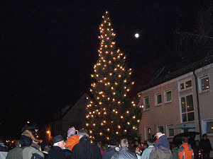 mächtiger Christbaum