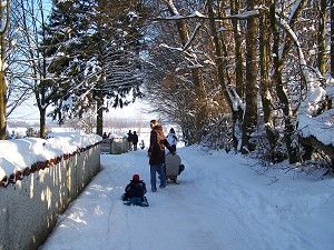 es geht zum Schlittenfahren