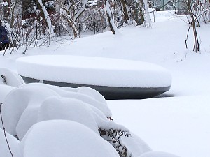 die  Drehplatte mit Schneehaube