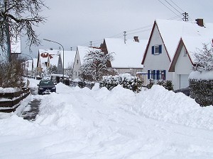 die Frühlingstrasse