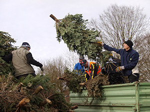 Alte Christbäume werden angeliefert